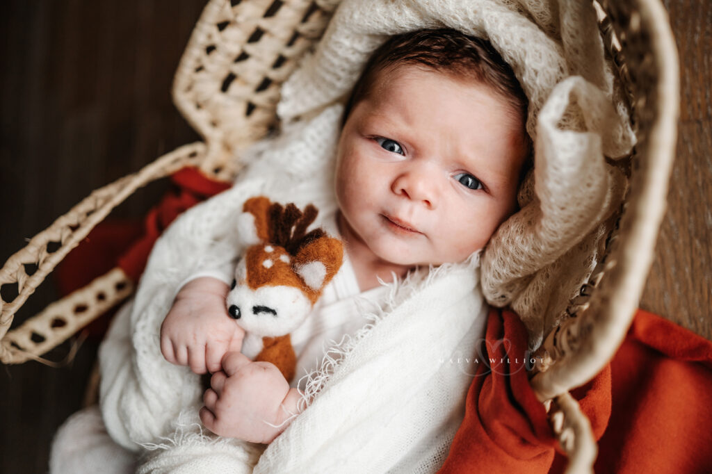 Photographe naissance Charente