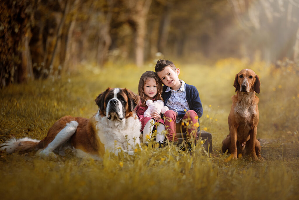 photographe chien la rochelle