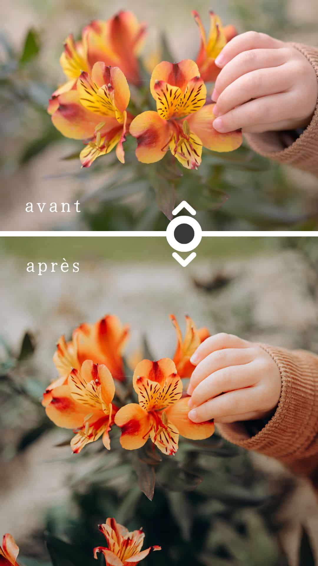 preset lightroom classic photographe