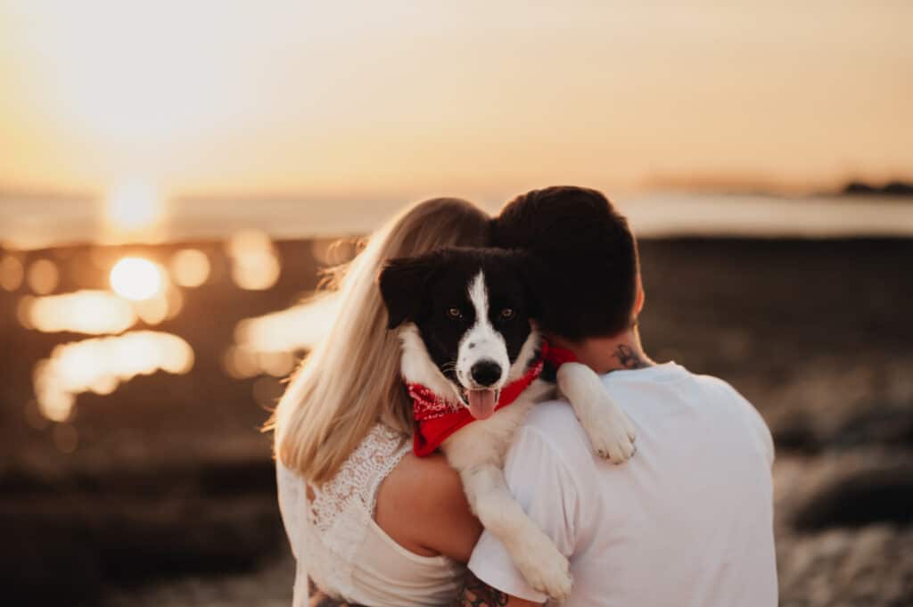 photographe animalier la rochelle